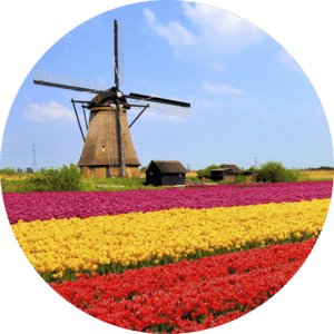 Holandčina